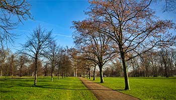 obiective turistice Londra - Hyde Park