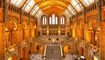 obiective turistice Londra - Muzeul de Istorie Naturala