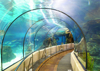 Aquarium Barcelona Spania