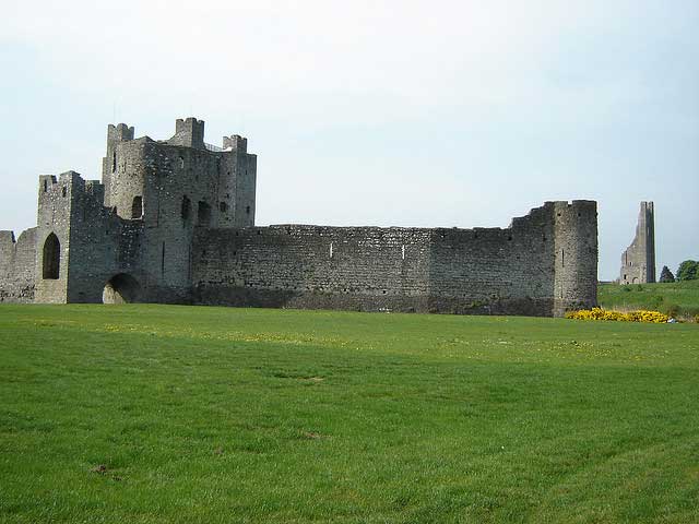 Castelul Trim