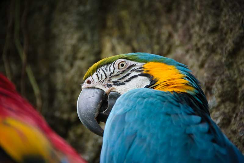 Randers Tropical Zoo