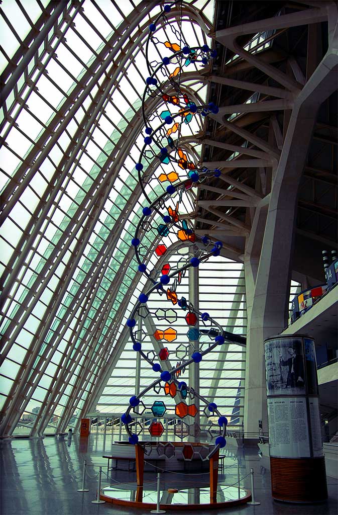 Sculptura ADN - Muzeul de Stiinta Printul Felipe din Valencia